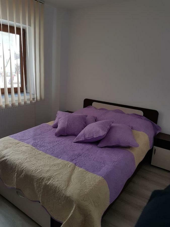 Apartament Mioritza 2A Horezu Exteriér fotografie